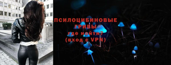 Альфа ПВП Нея