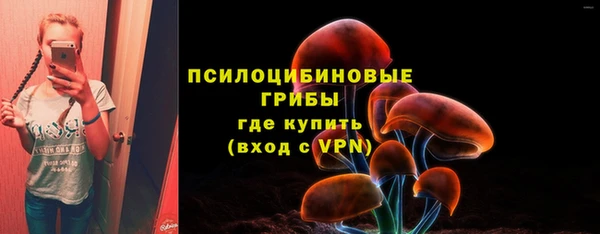 Альфа ПВП Нефтекумск