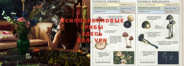 Альфа ПВП Нея