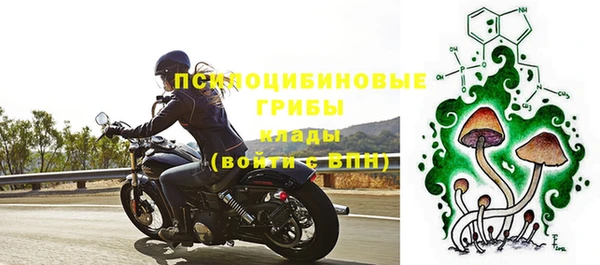 Альфа ПВП Нефтекумск
